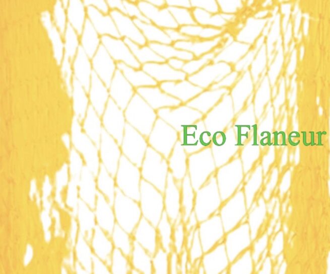 Eco Flaneur platform